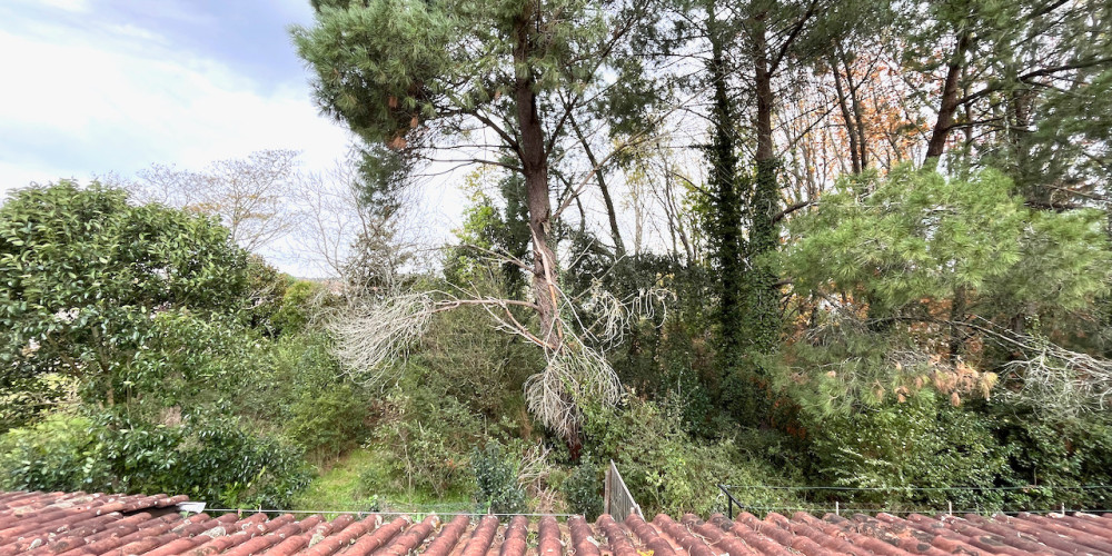 appartement à VILLENEUVE SUR LOT (47300)